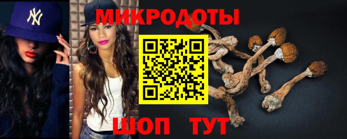 Галлюциногенные грибы мицелий Торжок